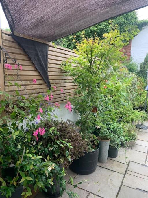 Blachington Cottage, Stunning And Central By Air Premier Seaford Exterior foto
